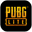 PUBG Lite